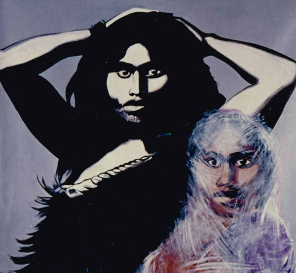 Cover of The Balance Destroyed